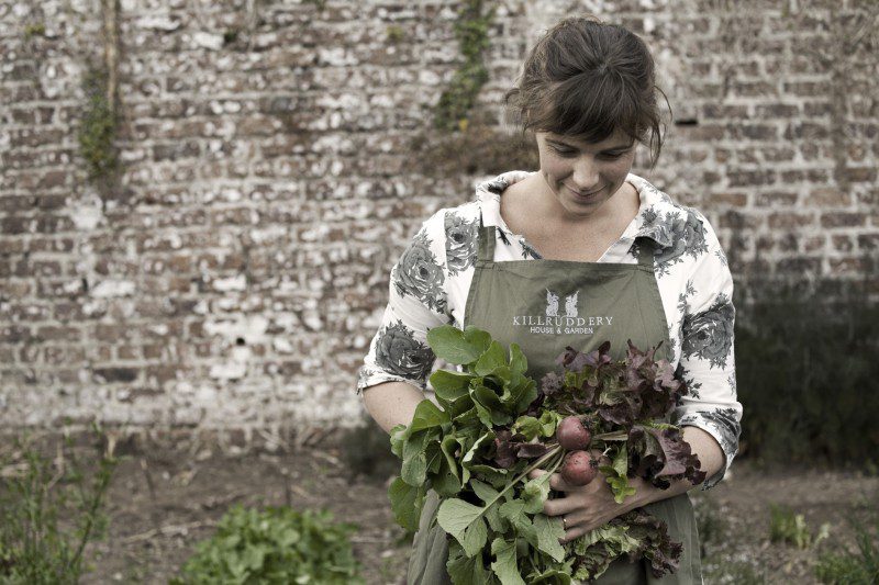 Interview with Fionnuala Brabazon