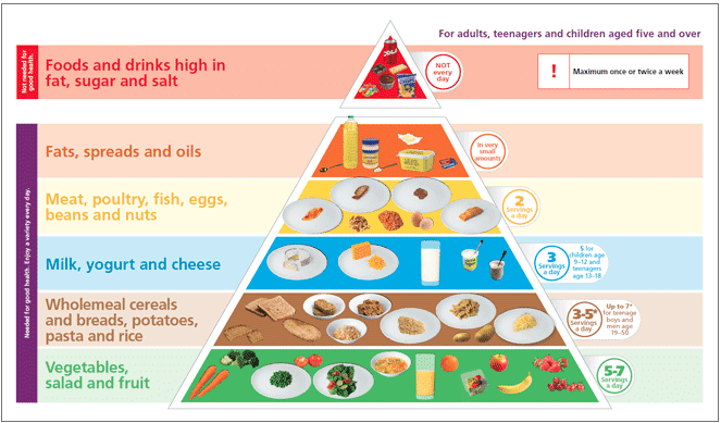 Government Pyramid Diet