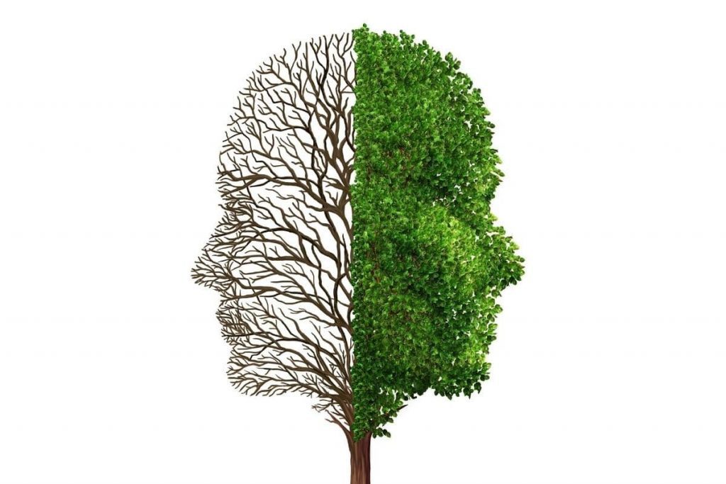 Mood Disorders and The Role of Nutrition