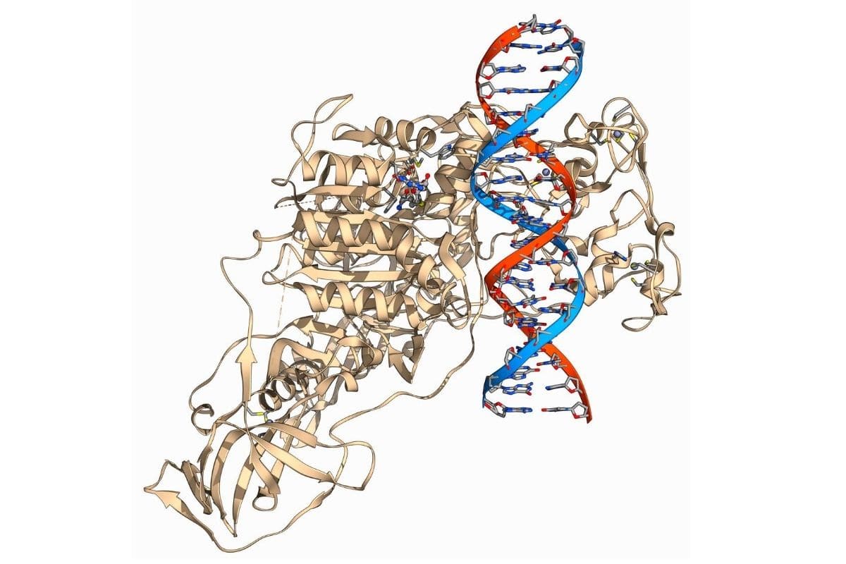 epigenetics