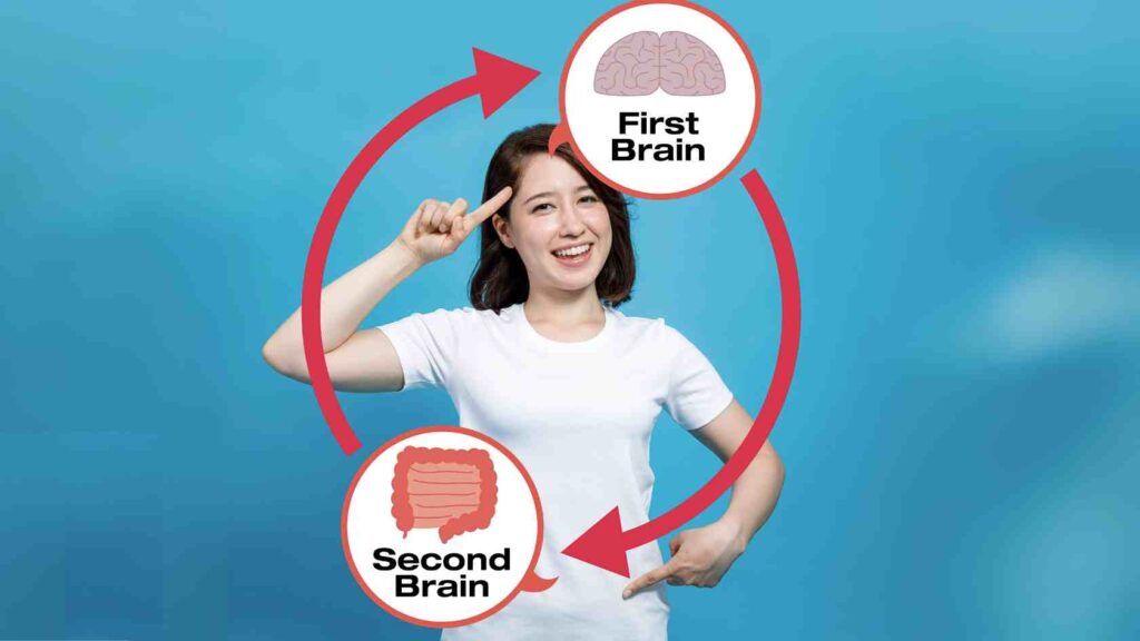 Exploring the Brain-Gut Connection