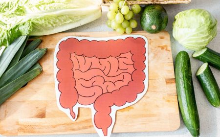 Digestions Tips - Header