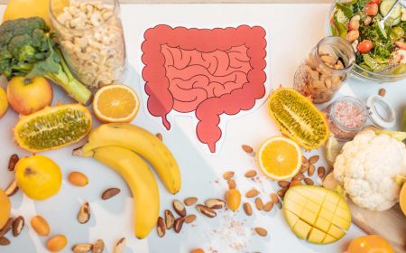 What is Fibre - header